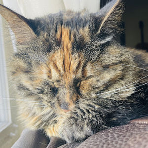 Meet your Posher, Raymond